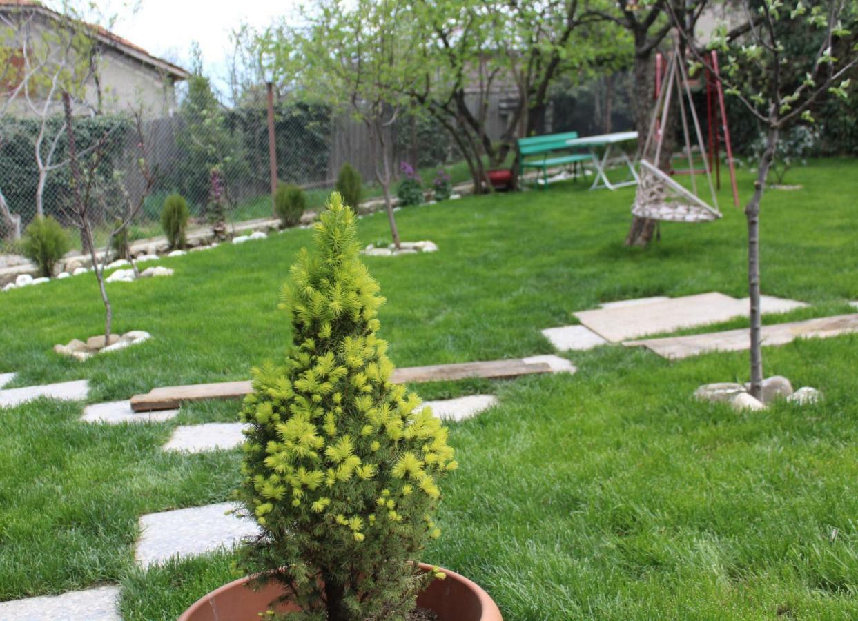 Guest House Poligloti Tel Avi Exterior foto